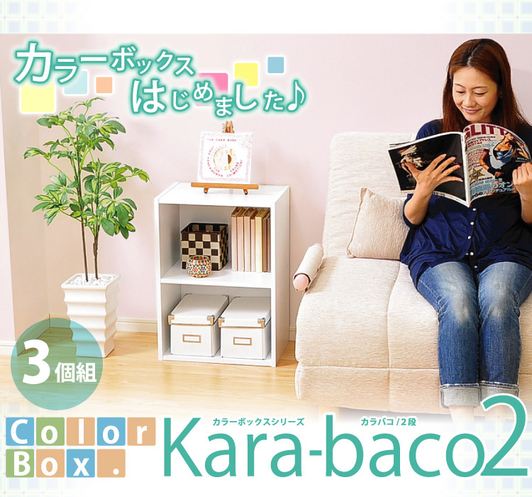 カラーボックスシリーズ【kara-baco2】2段　3個セット