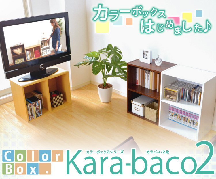 カラーボックスシリーズ【kara-baco2】2段