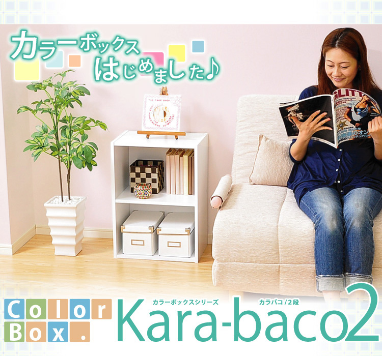 カラーボックスシリーズ【kara-baco2】2段